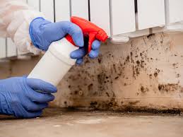 Best Mold Damage Restoration  in Highland Village, TX